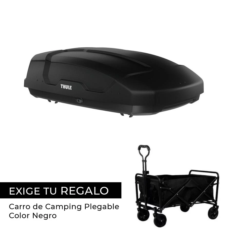 646351BMesa de trabajo 1 1.webp